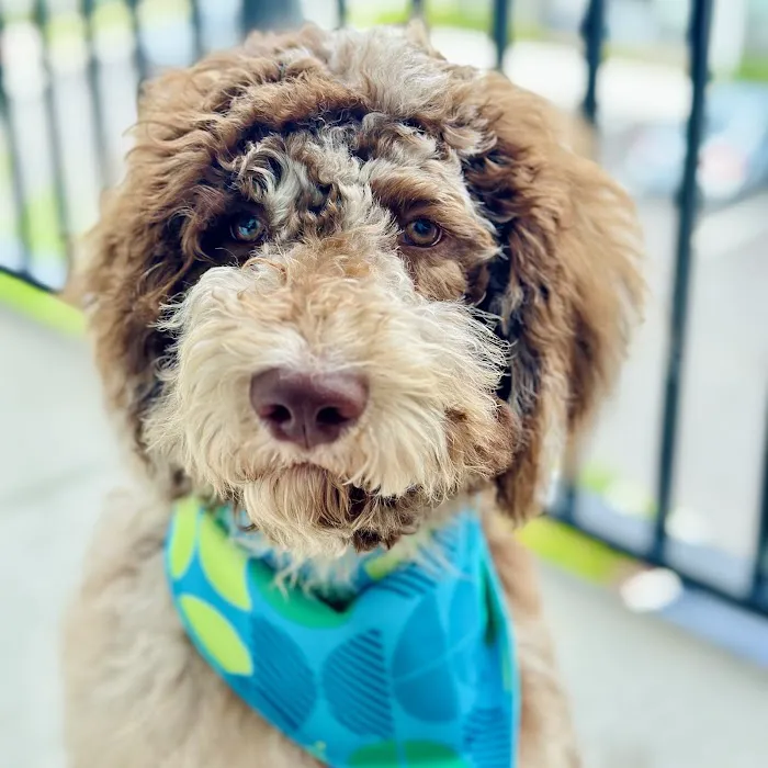 Banfield Pet Hospital 5