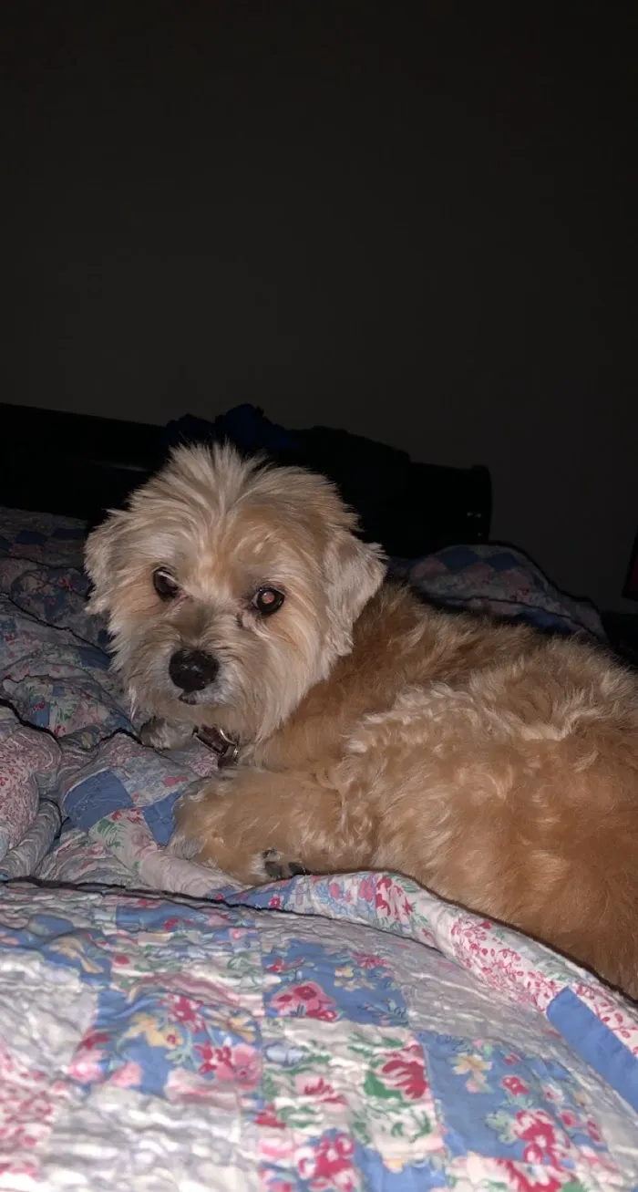 Banfield Pet Hospital 7