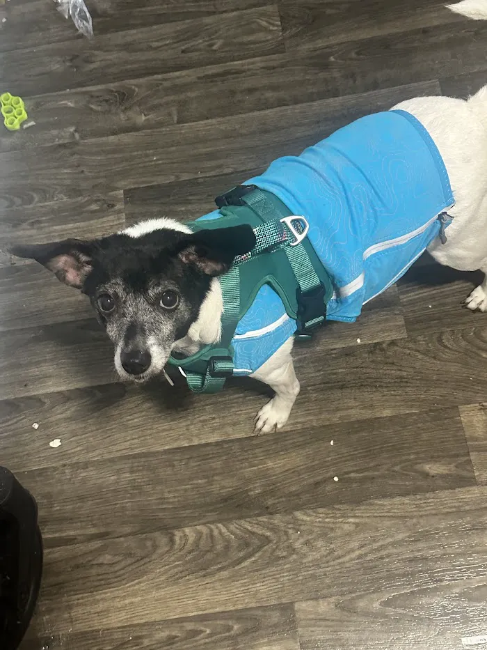 Banfield Pet Hospital 6