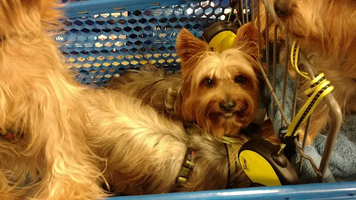 Banfield Pet Hospital 5