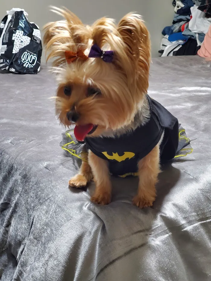 Banfield Pet Hospital 8