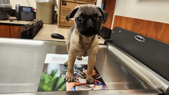Banfield Pet Hospital 9