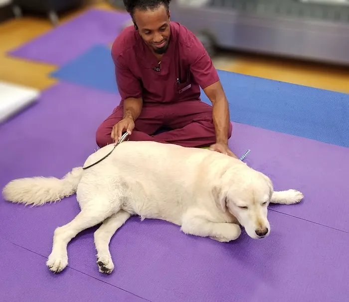 Integrative Animal Hospital of Central Florida 12