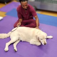Integrative Animal Hospital of Central Florida ico