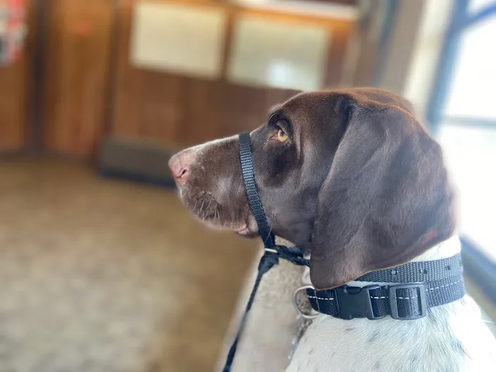 Sanford Veterinary Hospital 2