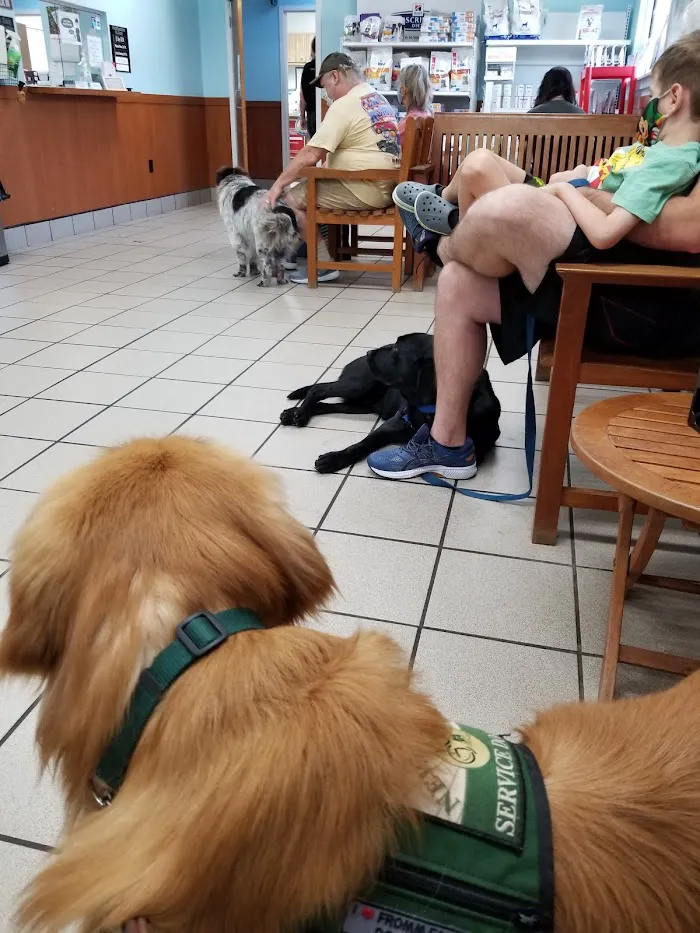 Lake Mary Veterinary Clinic: Porter Amy M DVM 12