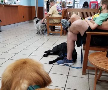 Lake Mary Veterinary Clinic: Porter Amy M DVM