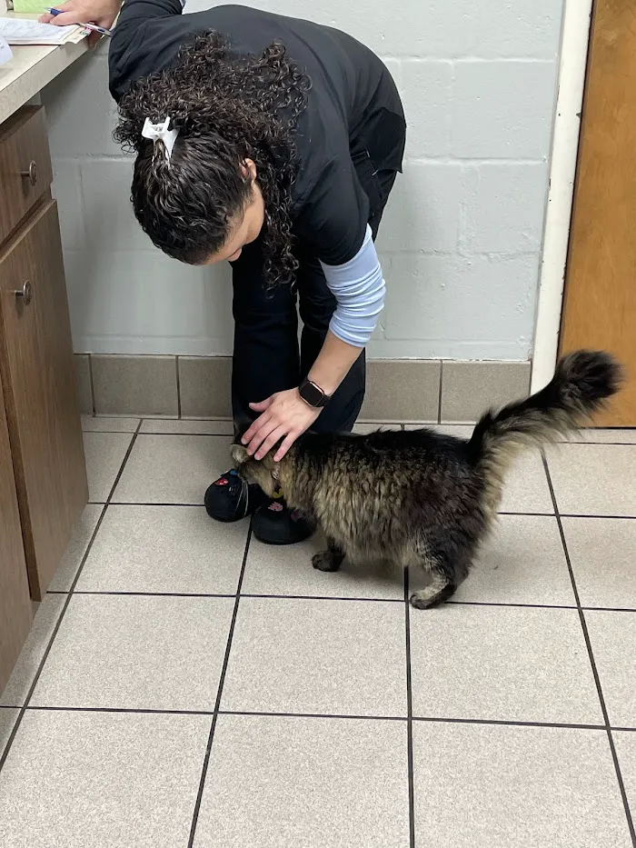 Lake Mary Veterinary Clinic: Porter Amy M DVM 12
