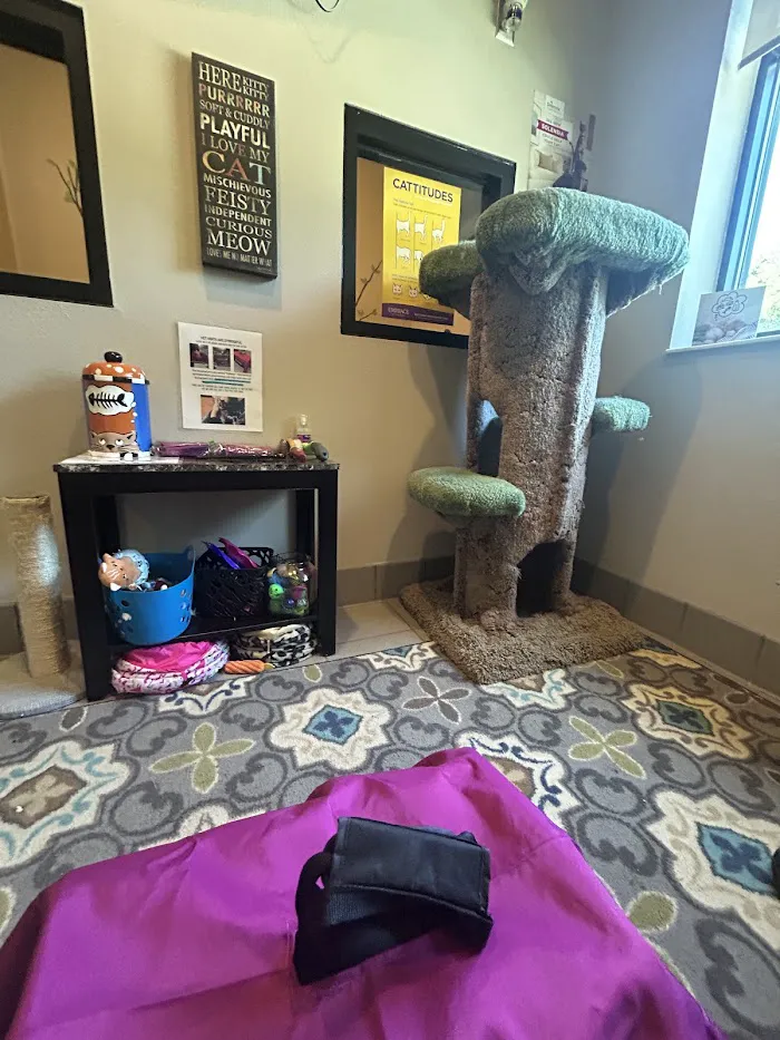 Lake Emma Animal Hospital 12