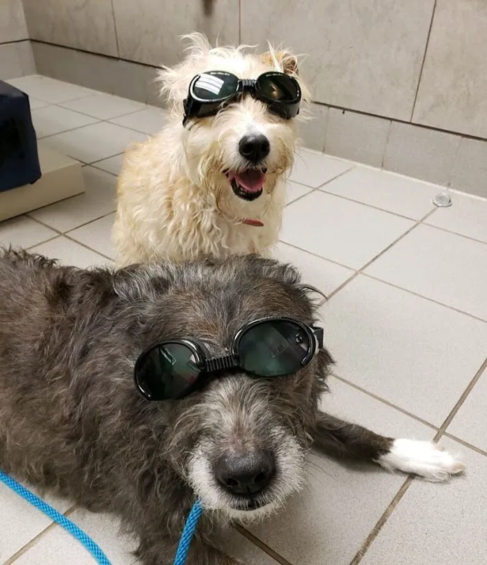 Lake Emma Animal Hospital 12