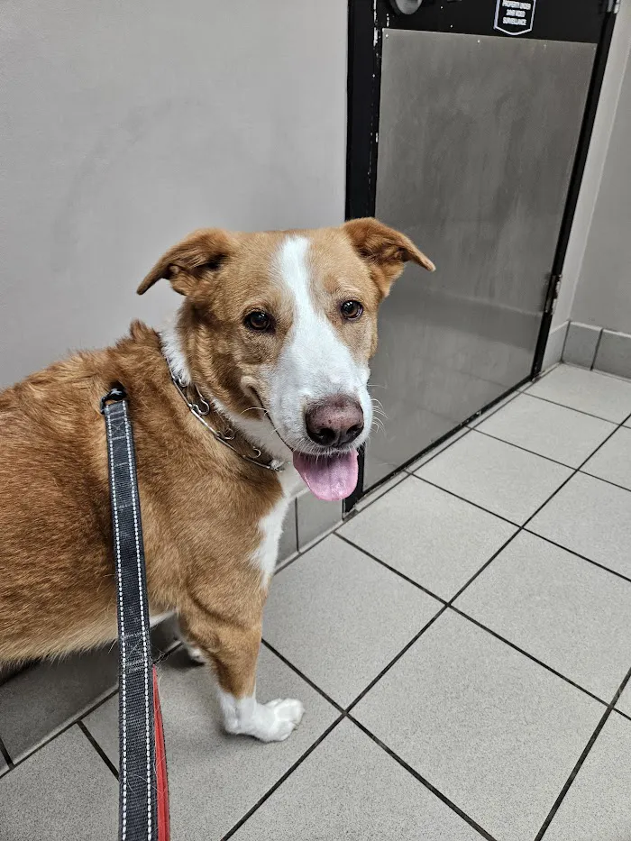 Lake Emma Animal Hospital 12