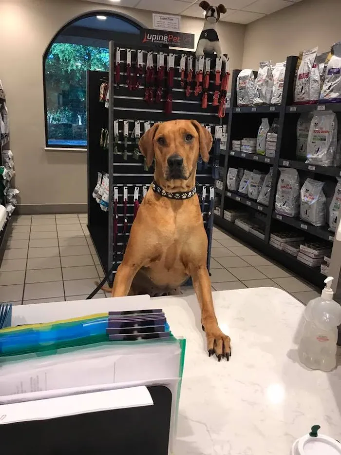 Lake Emma Animal Hospital 12