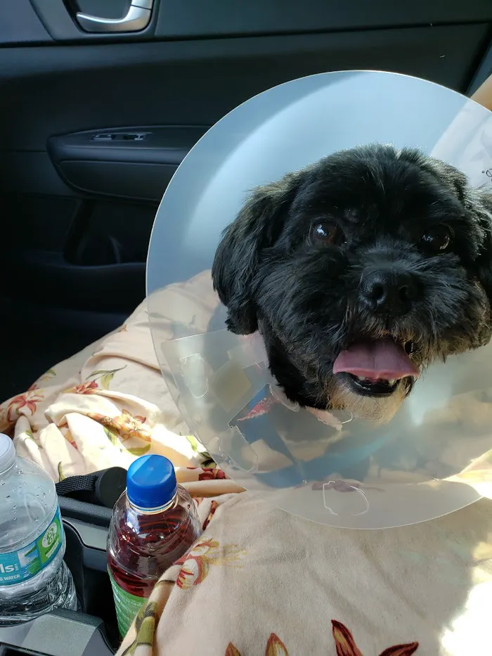 Banfield Pet Hospital 12
