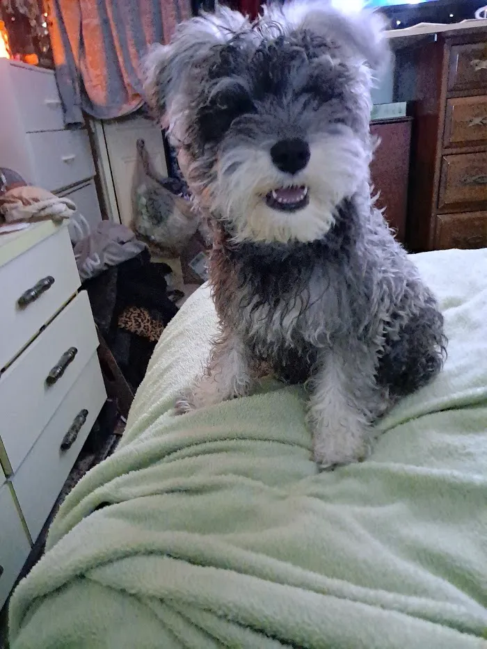 Banfield Pet Hospital 12