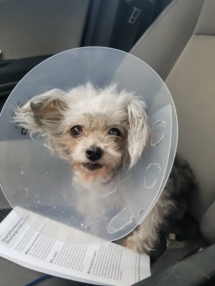 Banfield Pet Hospital 12
