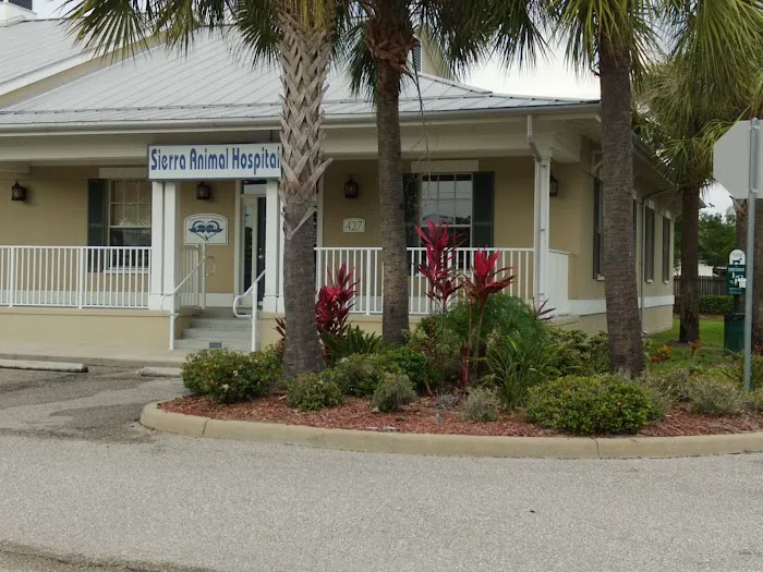 Sierra Animal Hospital 12