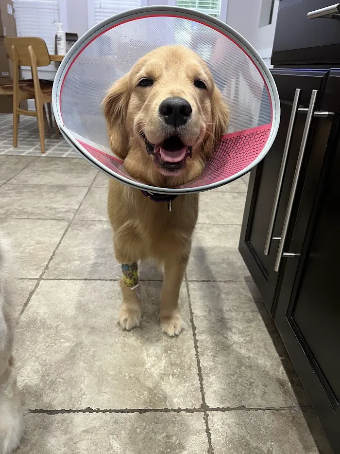Sierra Animal Hospital 12