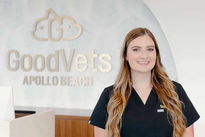 GoodVets Apollo Beach 12