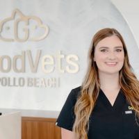 GoodVets Apollo Beach ico