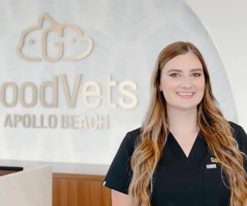 GoodVets Apollo Beach