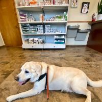 Fox & Friends Animal Hospital ico