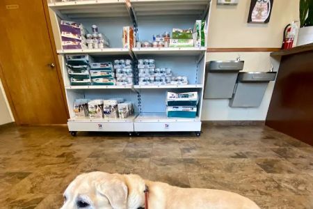 Fox & Friends Animal Hospital
