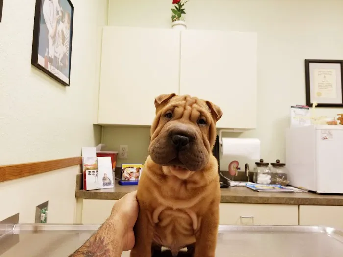 Fox & Friends Animal Hospital 12