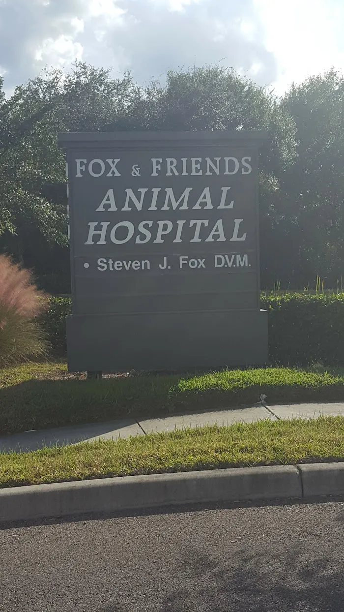 Fox & Friends Animal Hospital 12