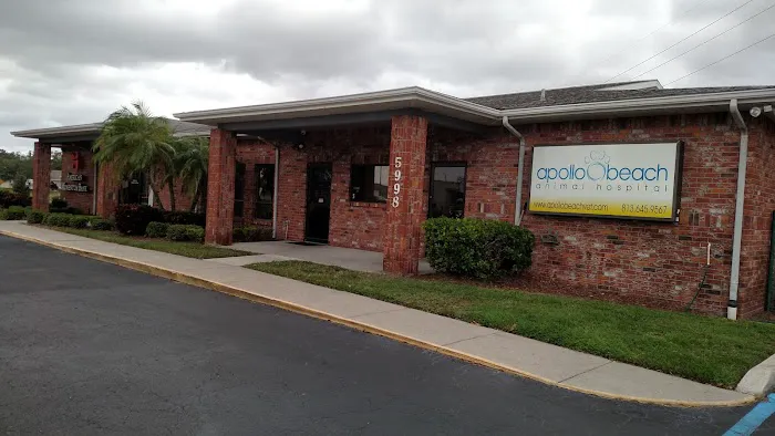 Apollo Beach Animal Hospital 12
