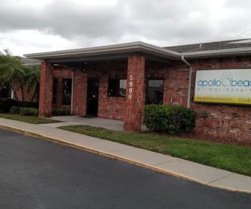 Apollo Beach Animal Hospital