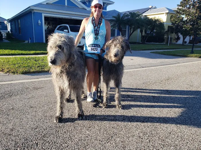 Apollo Beach Animal Hospital 12