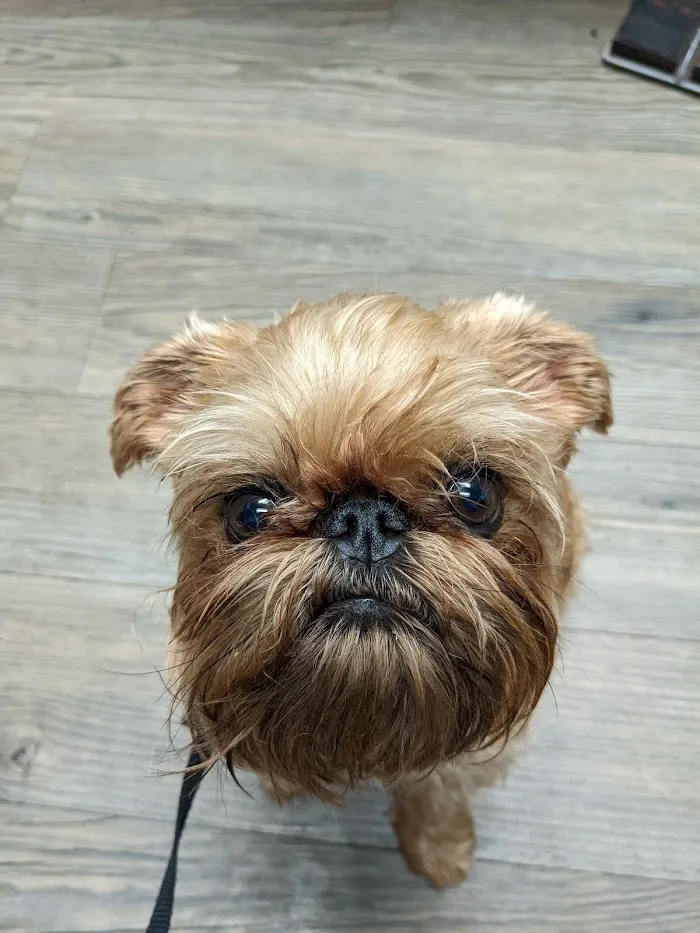 Ehrlich Animal Hospital & Arthritis Therapy Center 5