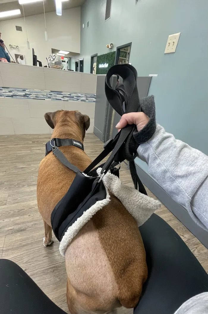 Ehrlich Animal Hospital & Arthritis Therapy Center 8