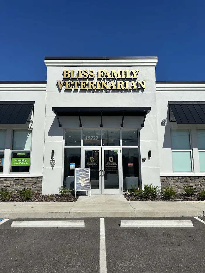 Bliss Family Veterinarian 6