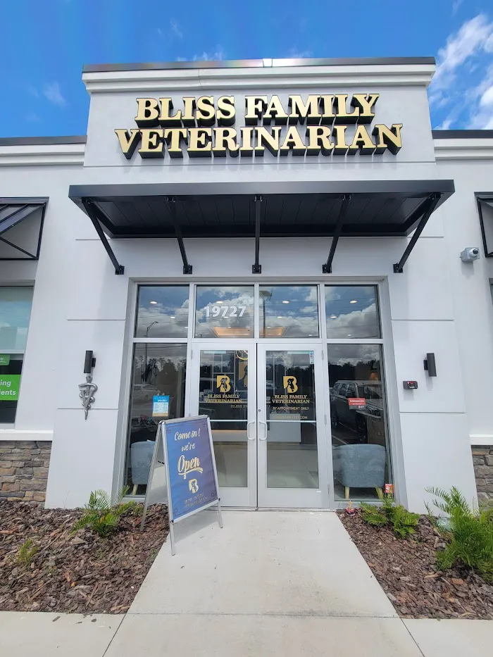 Bliss Family Veterinarian 4