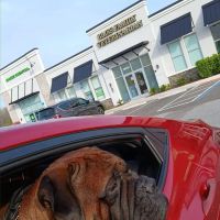 Bliss Family Veterinarian ico