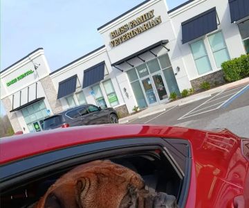 Bliss Family Veterinarian