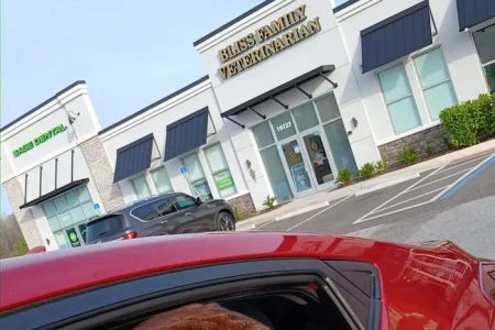 Bliss Family Veterinarian