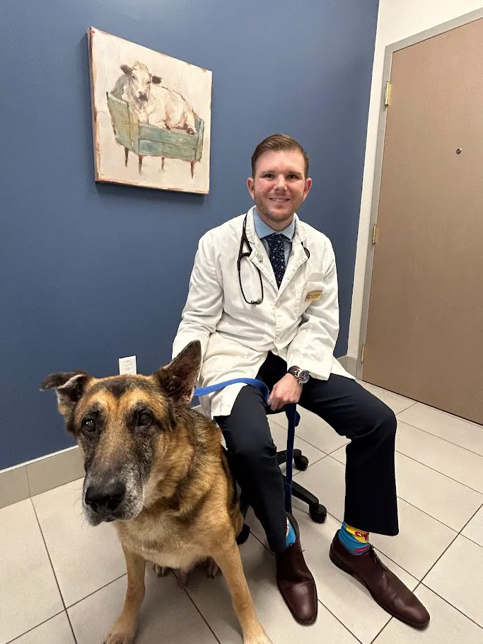 Bliss Family Veterinarian 7