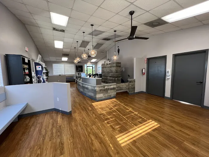 VCA Cypress Creek Animal Hospital 12