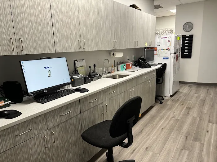 VCA Cypress Creek Animal Hospital 12