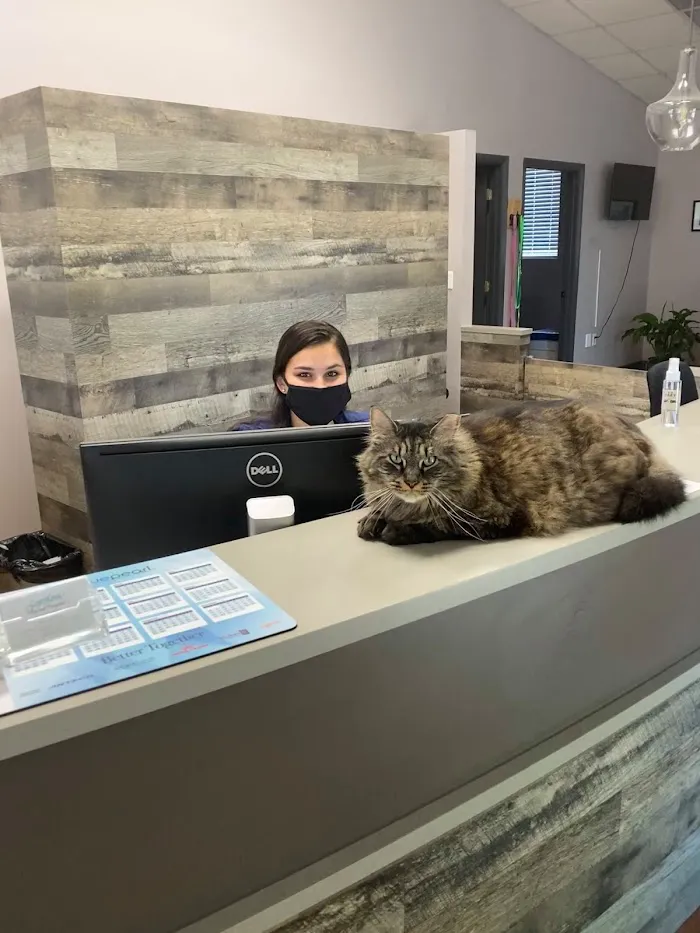 VCA Cypress Creek Animal Hospital 12