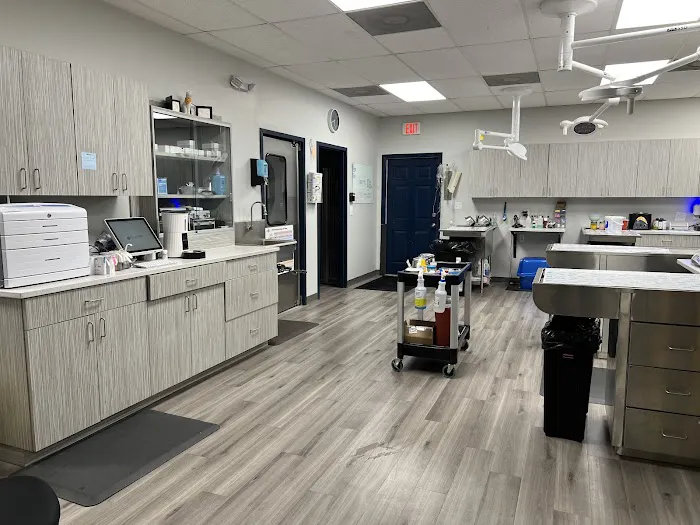 VCA Cypress Creek Animal Hospital 12