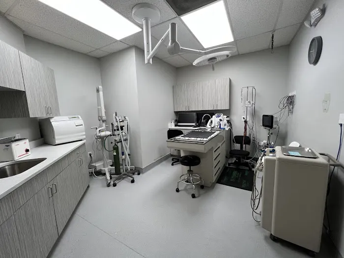 VCA Cypress Creek Animal Hospital 12