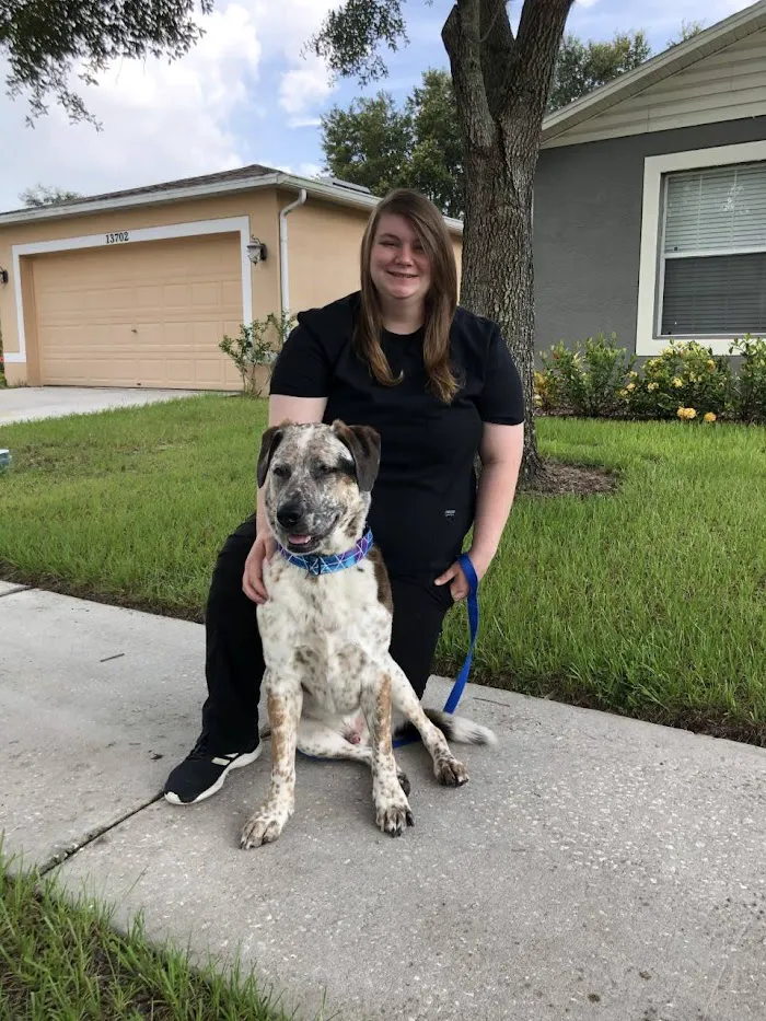 VCA Cypress Creek Animal Hospital 12