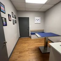 VCA Cypress Creek Animal Hospital ico