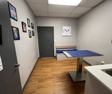 VCA Cypress Creek Animal Hospital