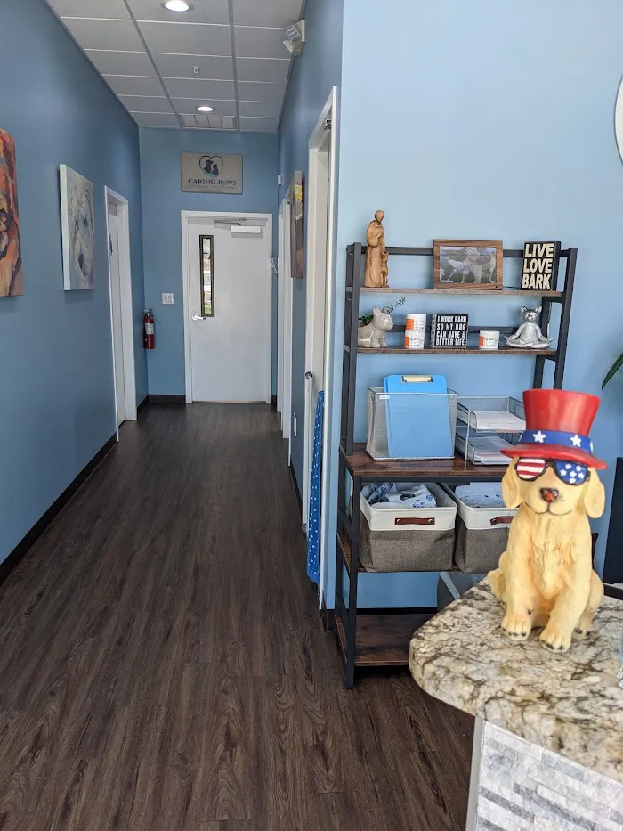 Caring Paws Animal Hospital 7