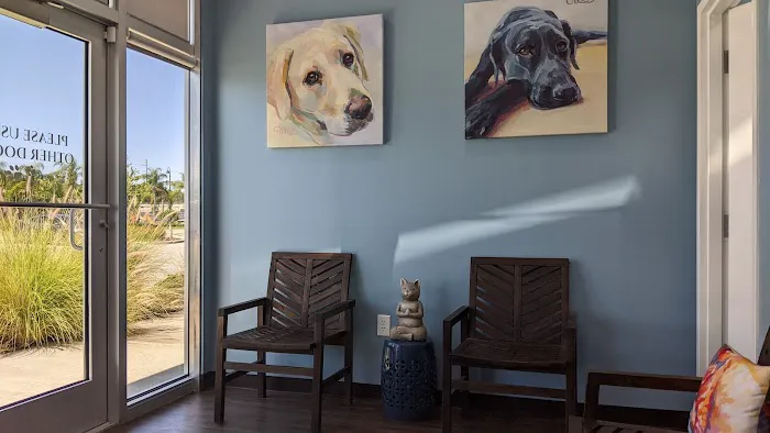Caring Paws Animal Hospital 2