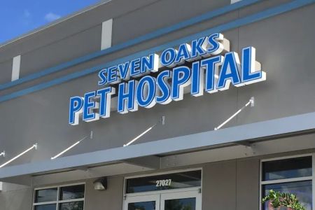 Seven Oaks Pet Hospital Wesley Chapel